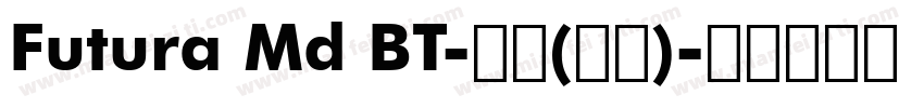 Futura Md BT-粗体(西方)字体转换